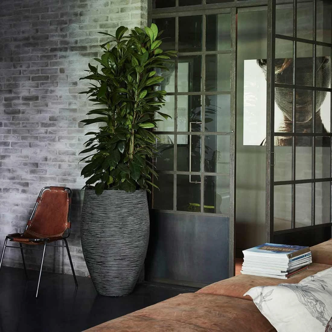 Capi Rib Pflanztopf Ø45x72cm Kunststoff Anthrazit 4 Capi Rib Pflanztopf Ø45x72cm Kunststoff Anthrazit – Bild 2